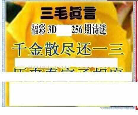 24256期: 三毛3D精品图谜