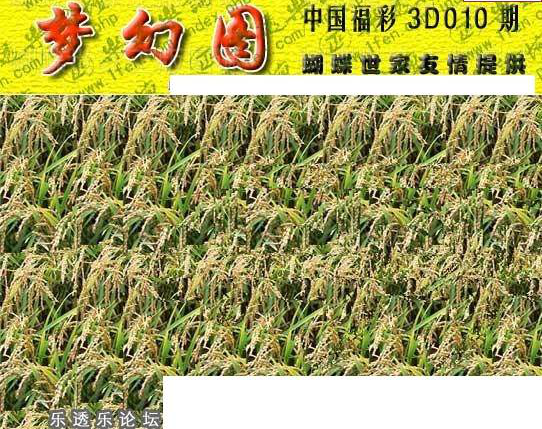 25010期: 3D蝴蝶世家蝴蝶彩图