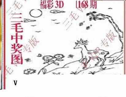 24168期: 三毛3D精品图谜