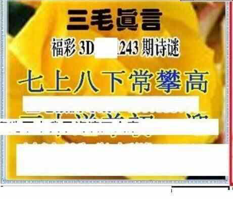 24243期: 三毛3D精品图谜