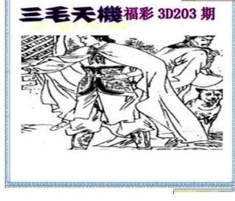 24203期: 三毛3D精品图谜