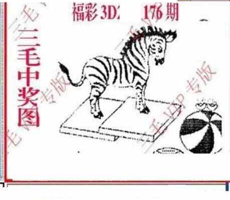 24176期: 三毛3D精品图谜