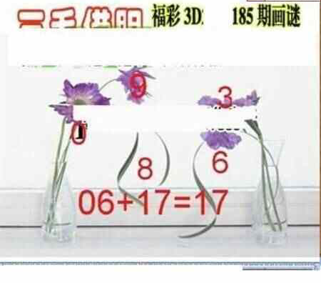 24185期: 三毛3D精品图谜