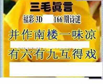 24166期: 三毛3D精品图谜