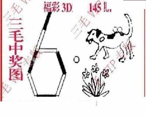 24145期: 三毛3D精品图谜