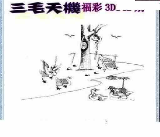 24142期: 三毛3D精品图谜