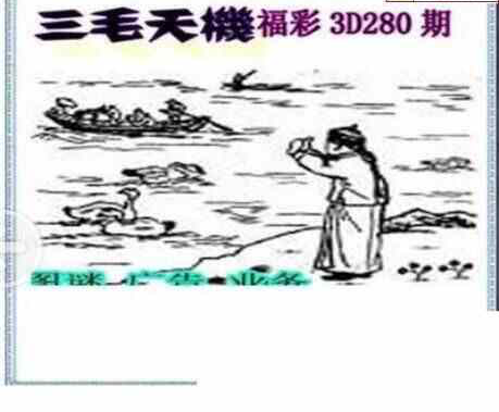 24280期: 三毛3D精品图谜