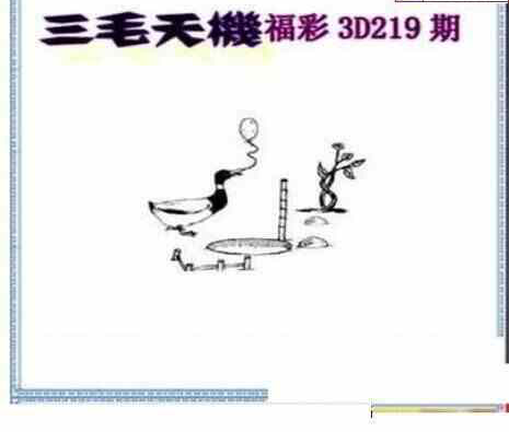 24219期: 三毛3D精品图谜