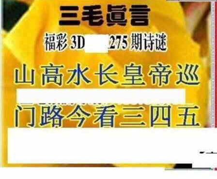 24275期: 三毛3D精品图谜