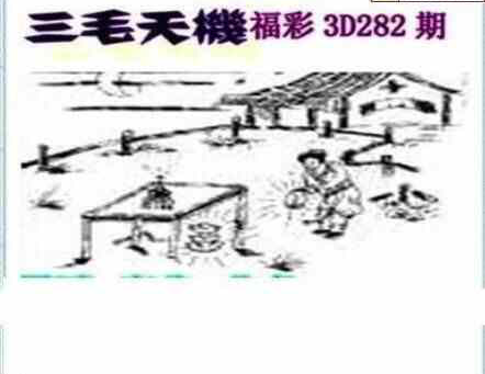 24282期: 三毛3D精品图谜