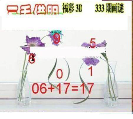 24333期: 三毛3D精品图谜