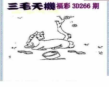 24266期: 三毛3D精品图谜