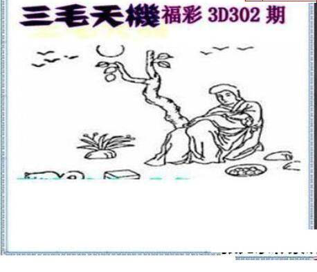 24302期: 三毛3D精品图谜