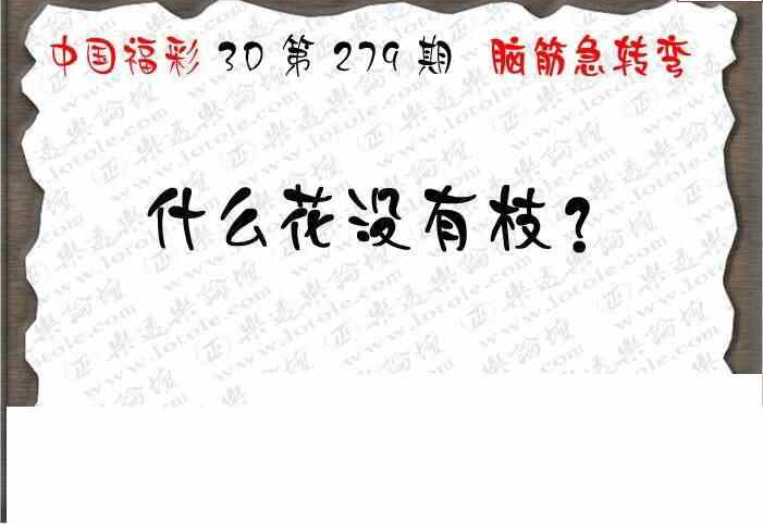 24279期: 3D蝴蝶世家蝴蝶彩图