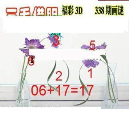 24338期: 三毛3D精品图谜