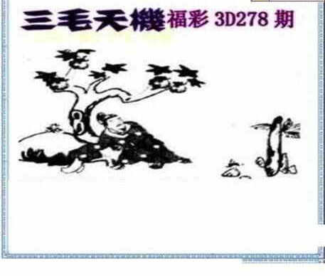 24278期: 三毛3D精品图谜