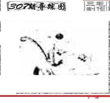 24307期: 三毛3D精品图谜