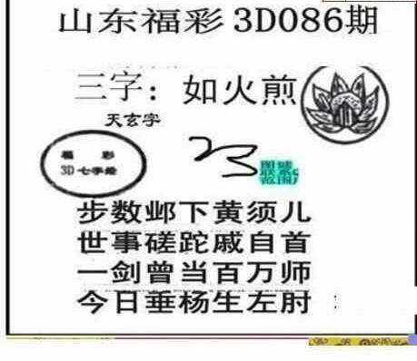 24086期: 三毛3D精品图谜