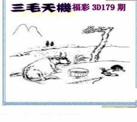 24179期: 三毛3D精品图谜