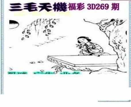 24269期: 三毛3D精品图谜