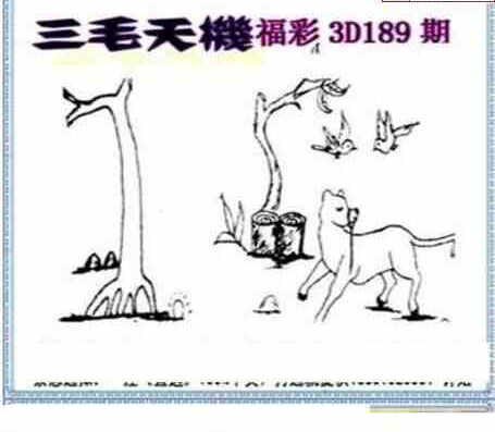 24189期: 三毛3D精品图谜