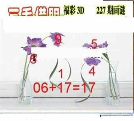 24227期: 三毛3D精品图谜