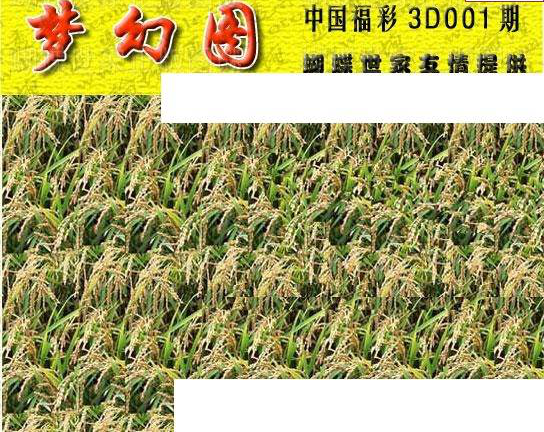 25001期: 3D蝴蝶世家蝴蝶彩图