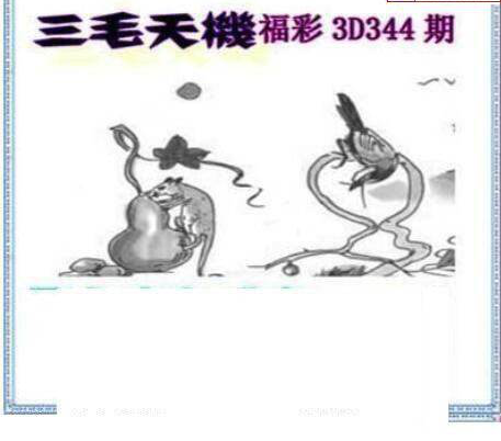 24344期: 三毛3D精品图谜