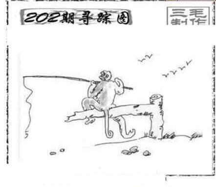 24202期: 三毛3D精品图谜