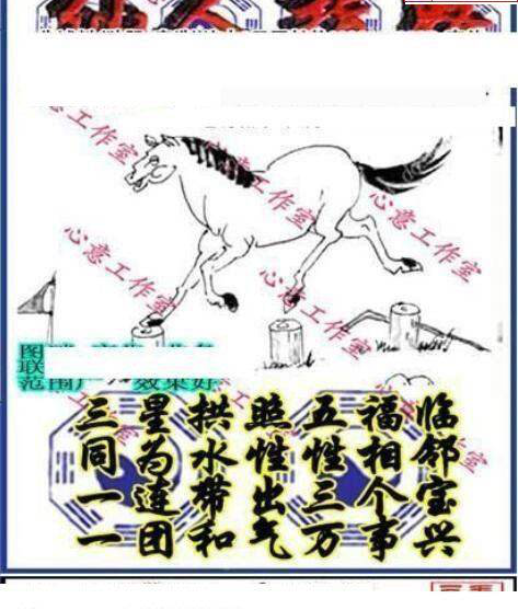 24339期: 三毛3D精品图谜