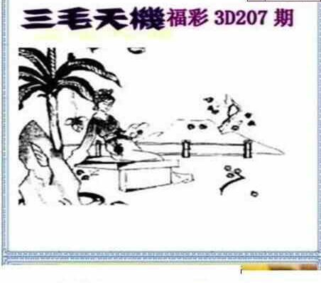 24207期: 三毛3D精品图谜