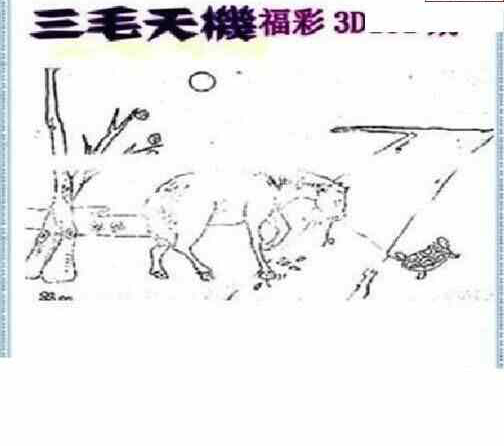 24131期: 三毛3D精品图谜