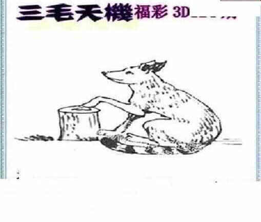 24124期: 三毛3D精品图谜