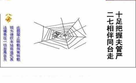 24291期: 白老3D杀码图版