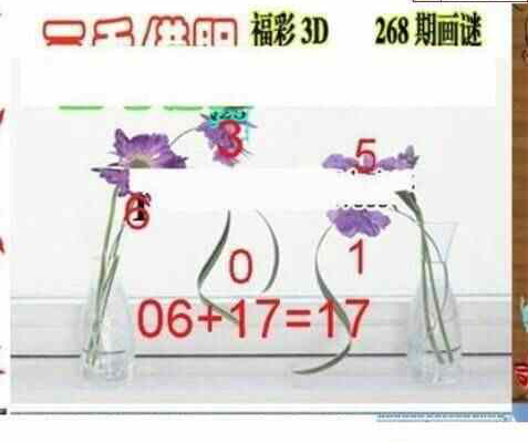 24268期: 三毛3D精品图谜