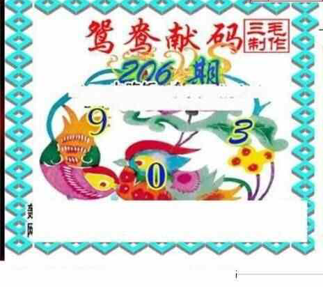 24206期: 三毛3D精品图谜