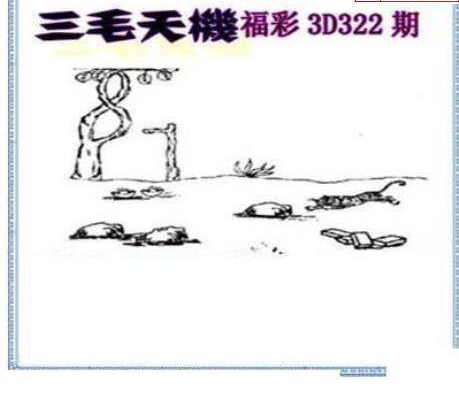 24322期: 三毛3D精品图谜