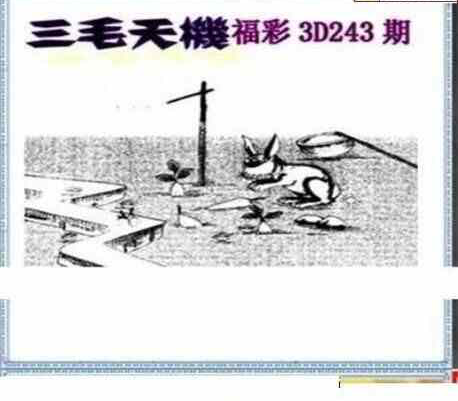 24243期: 三毛3D精品图谜