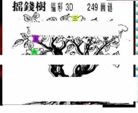 24249期: 三毛3D精品图谜