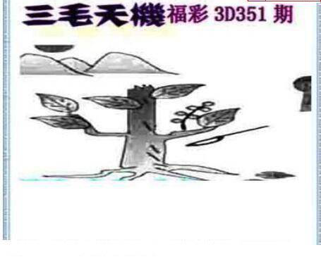 24351期: 三毛3D精品图谜