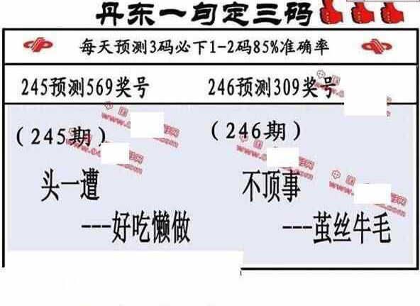 24246期: 福彩3D丹东全图分析