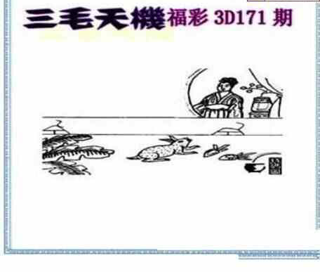 24171期: 三毛3D精品图谜