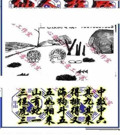 24257期: 三毛3D精品图谜