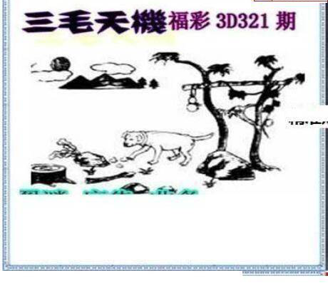 24321期: 三毛3D精品图谜