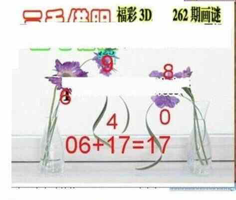 24262期: 三毛3D精品图谜