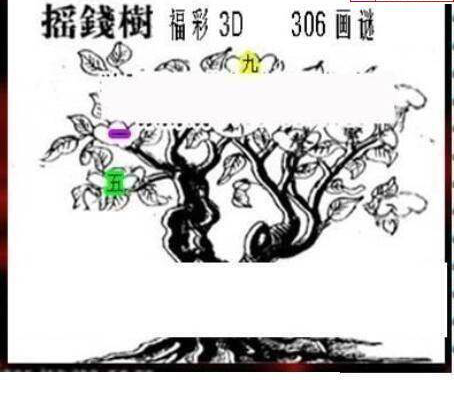 24306期: 三毛3D精品图谜