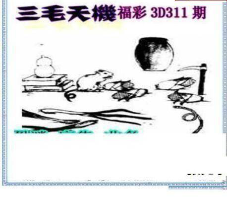 24311期: 三毛3D精品图谜