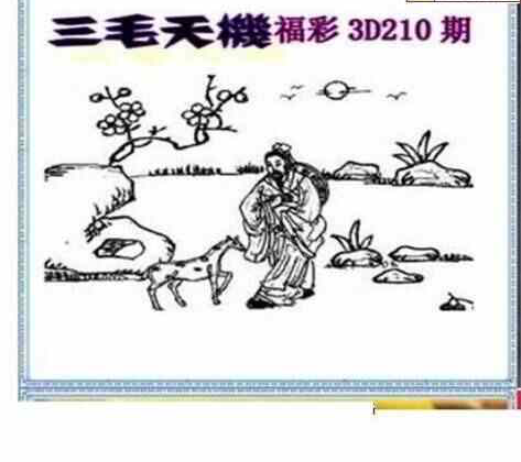 24210期: 三毛3D精品图谜