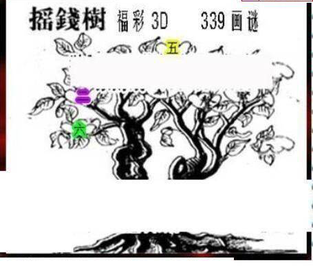 24339期: 三毛3D精品图谜