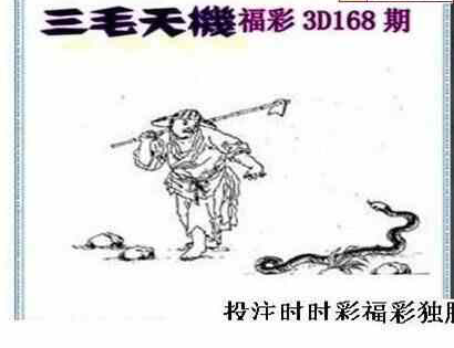 24168期: 三毛3D精品图谜